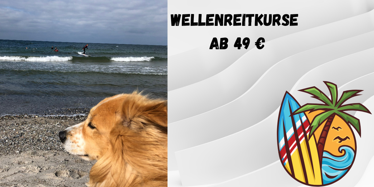 Wellenreitkurs Ostsee